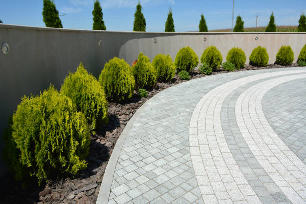 Best Best Driveway Pavers  in Black Hammock, FL