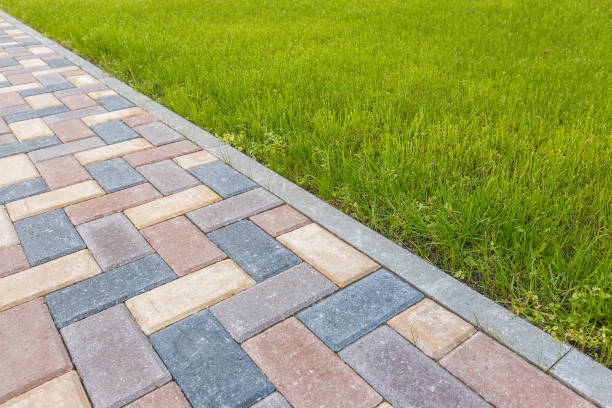 Best Decorative Driveway Pavers  in Black Hammock, FL